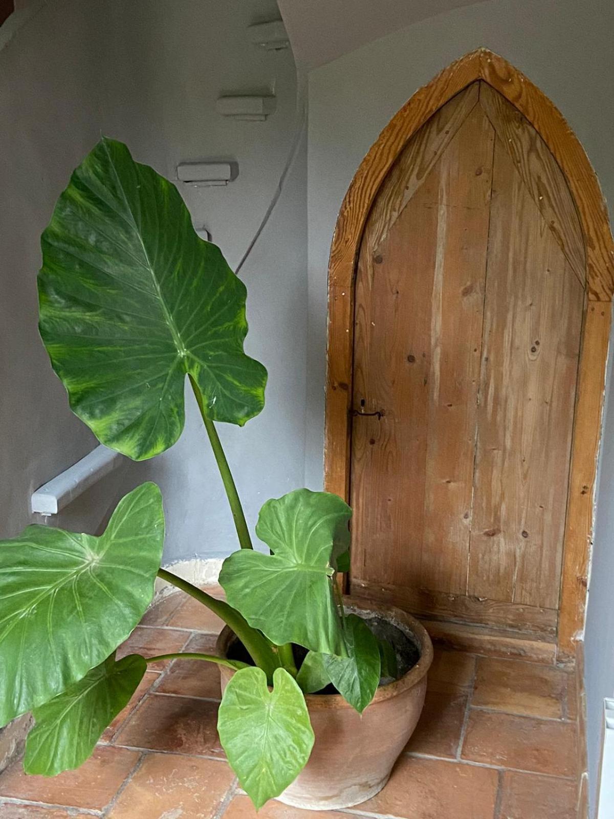 Mas carita Bed & Breakfast Cabannes Luaran gambar